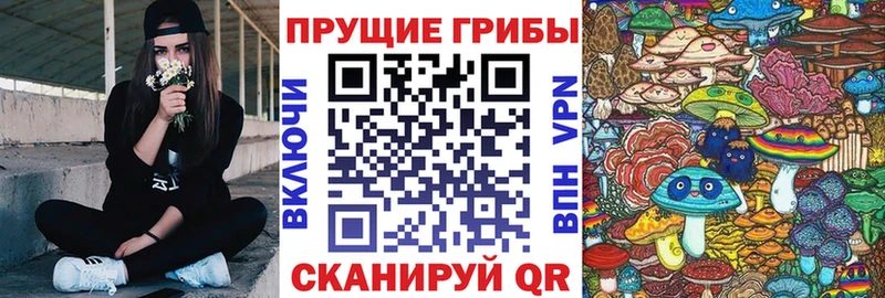 купить Светлоград Галлюциногенные грибы ЛСД
