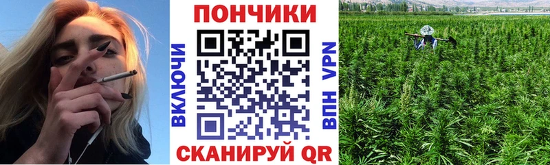 Канабис план  Светлоград 